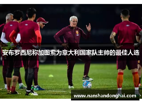 安布罗西尼称加图索为意大利国家队主帅的最佳人选