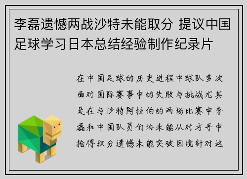李磊遗憾两战沙特未能取分 提议中国足球学习日本总结经验制作纪录片